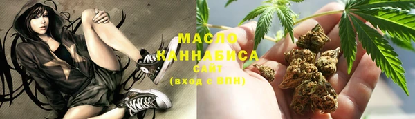 дмт Ельня
