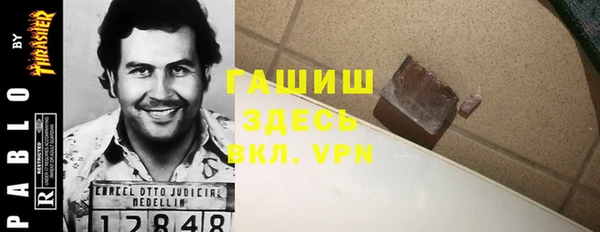 дмт Ельня