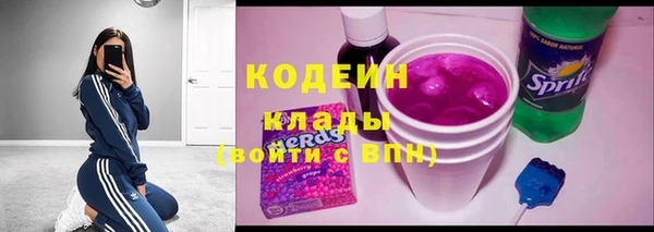 дмт Ельня