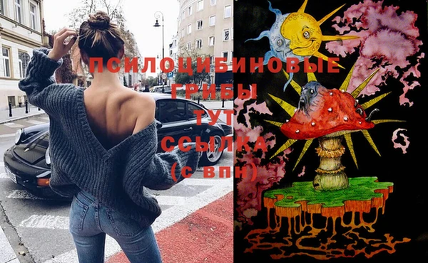 дмт Ельня