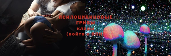 мескалин Елизово