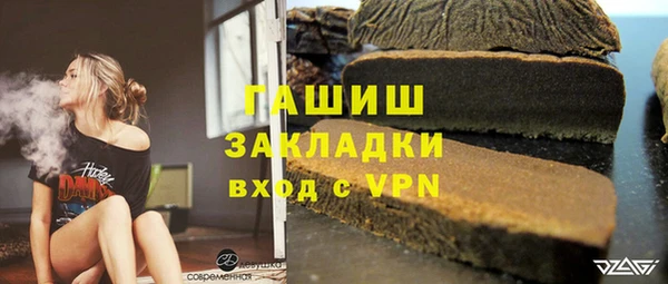 дмт Ельня