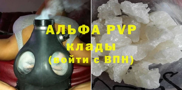 дмт Ельня