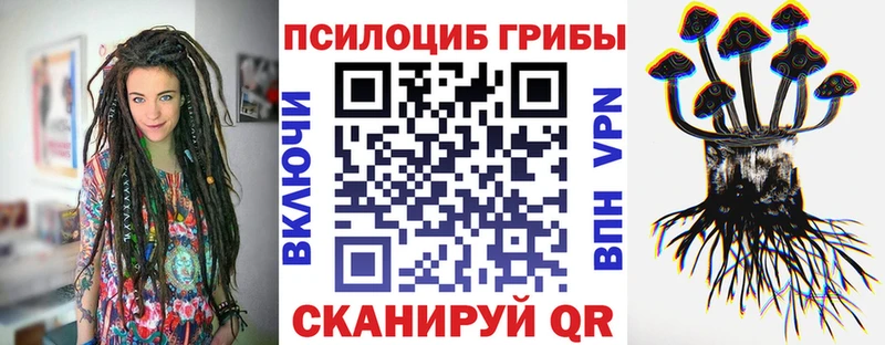 цена Игарка Псилоцибиновые грибы прущие грибы